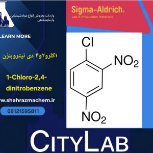 1-کلرو-2,4-دی نیتروبنزن 10گرم | 1 237329-Chloro-2,4-dinitrobenzene