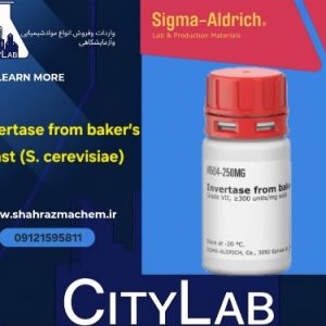 خرید اینورتاز خالص I4504 | آنزیم Invertase از مخمر نان | شهرآزما