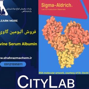 آلبومین گاوی | بووین سرم آلبومین | آلبومین فراکشن | a4503 sigma