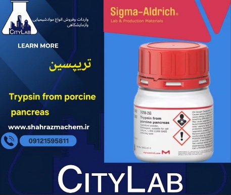 تریپسین پانکراس خوک | t4799 sigma | Trypsin from porcine pancreas