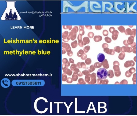 رنگ لیشمن | رنگ لیشمانز | 101350 Leishman′s eosine methylene blue